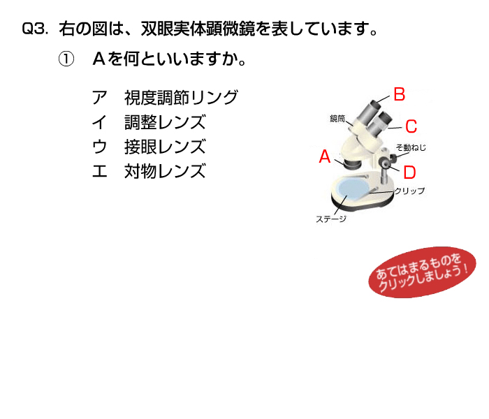 ルーペ 双眼実体顕微鏡の使い方